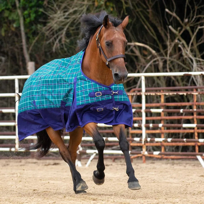 Jeffers Economy 600 Denier Plaid Medium-Weight Standard Neck Horse Turnout Blanket, 240 g