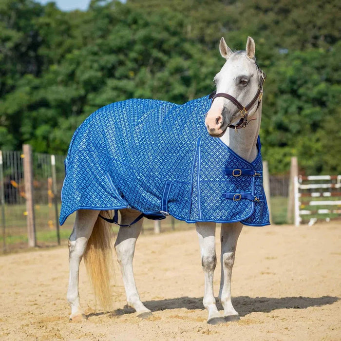 Jeffers Economy 600 Denier Plaid Medium-Weight Standard Neck Horse Turnout Blanket, 240 g