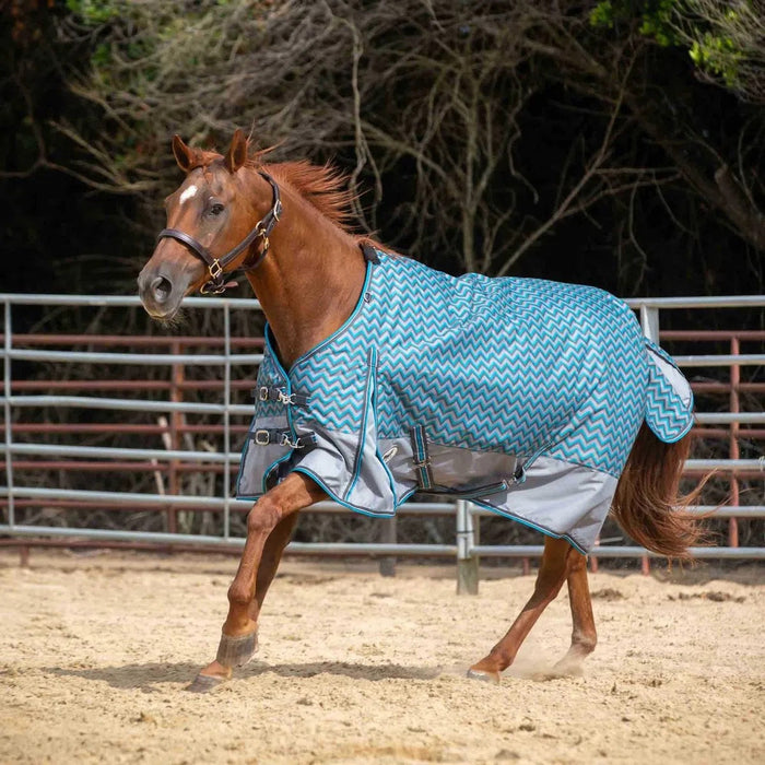 Jeffers Economy 600 Denier Plaid Medium-Weight Standard Neck Horse Turnout Blanket, 240 g