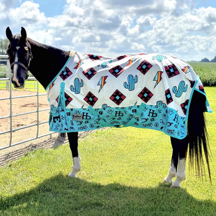 Jeffers Economy 600 Denier Standard Neck Turnout Blanket Color Turquoise