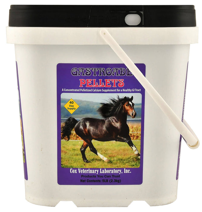 Gastroade Pellets for Healthy GI Tract in Horses - CVLAS - 5 lbs - 2