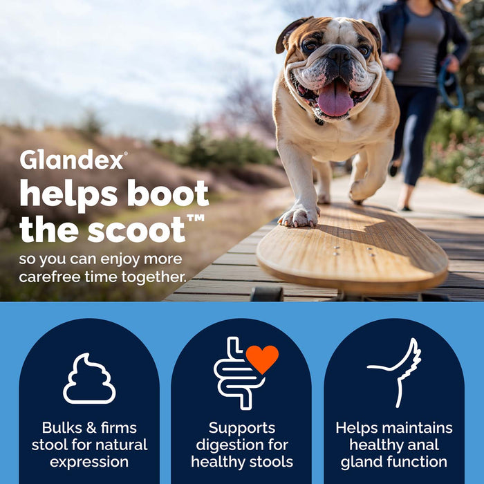 Glandex Anal Gland Health Soft Chews for Dogs, Peanut Butter Flavored - VQLA7 - Peanut Butter - 30 ct - 5