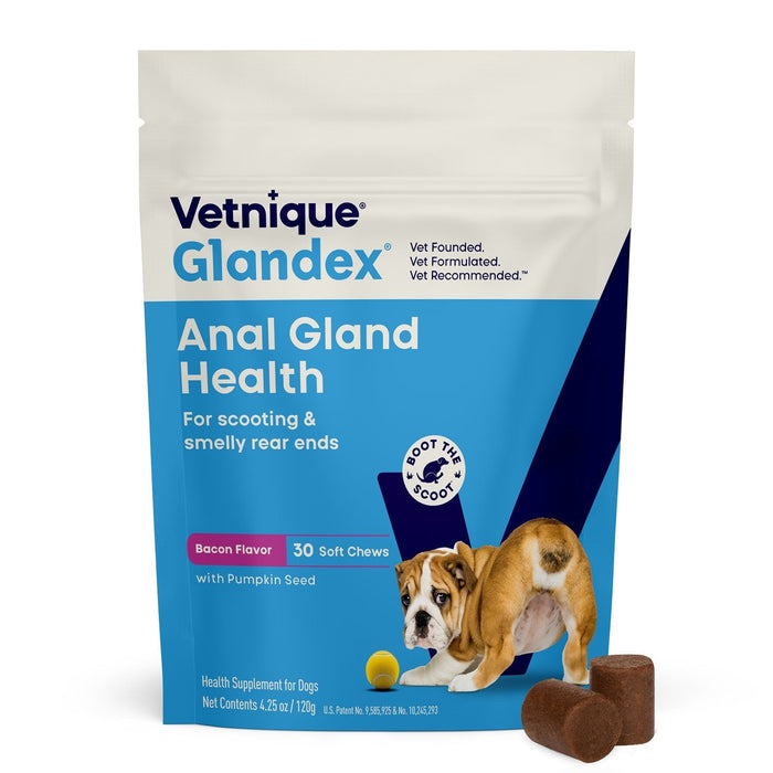 Glandex Anal Gland Health Soft Chews for Dogs - VQLAE - Bacon - 30 ct - 11