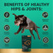Glyco Flex 3 Joint Support for Dogs, 120 Bite Sized Chews - 015VS-9569-12 - 120 ct - 5