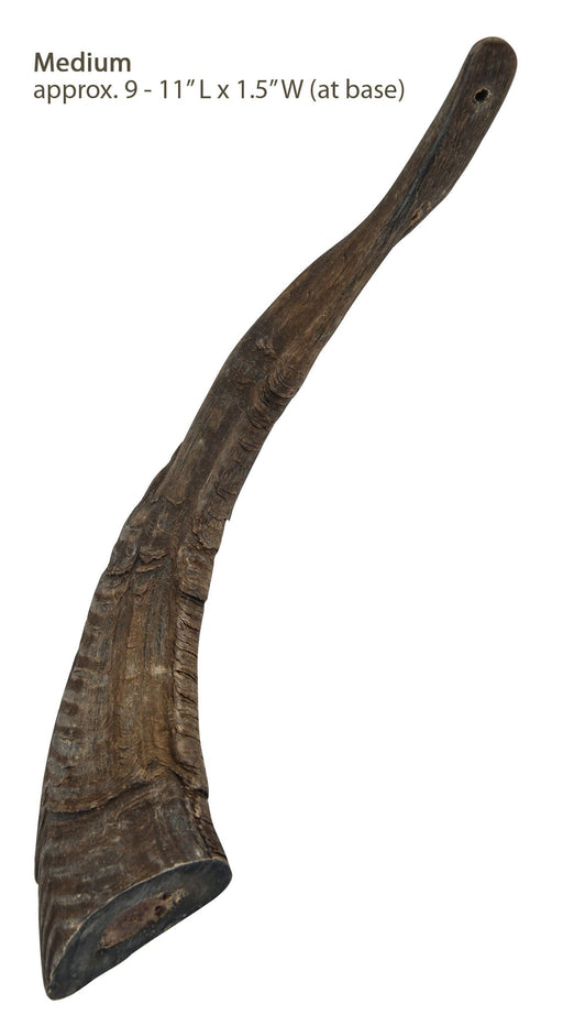 Gobi Goat Horn Natural Dog Chew - QTDAN - Small - 2