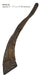 Gobi Goat Horn Natural Dog Chew - QTDAN - Small - 6