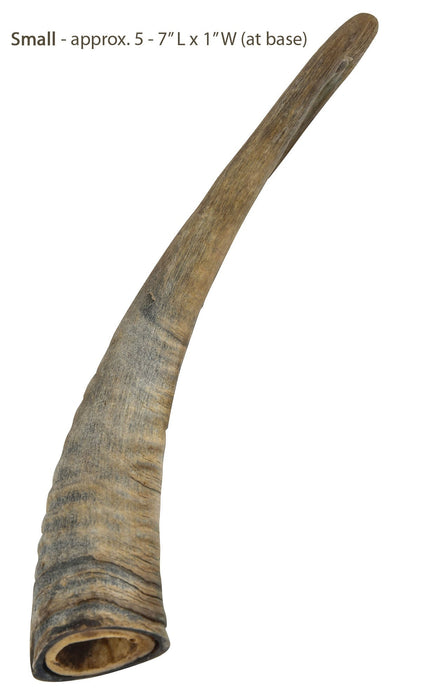 Gobi Goat Horn Natural Dog Chew - QTDAP - Medium - 9