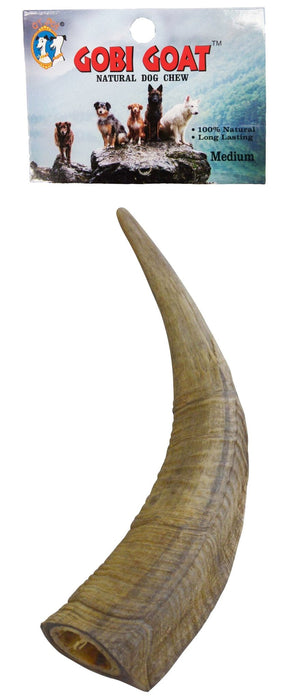 Gobi Goat Horn Natural Dog Chew - QTDAQ - Large - 24