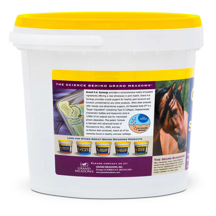 Grand H.A. Synergy Advanced Joint Supplement for Horses & Dogs - 2CF2 - 5 lb - 2