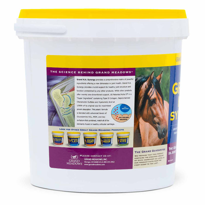 Grand H.A. Synergy Advanced Joint Supplement for Horses & Dogs - 2CF3 - 10 lb - 5