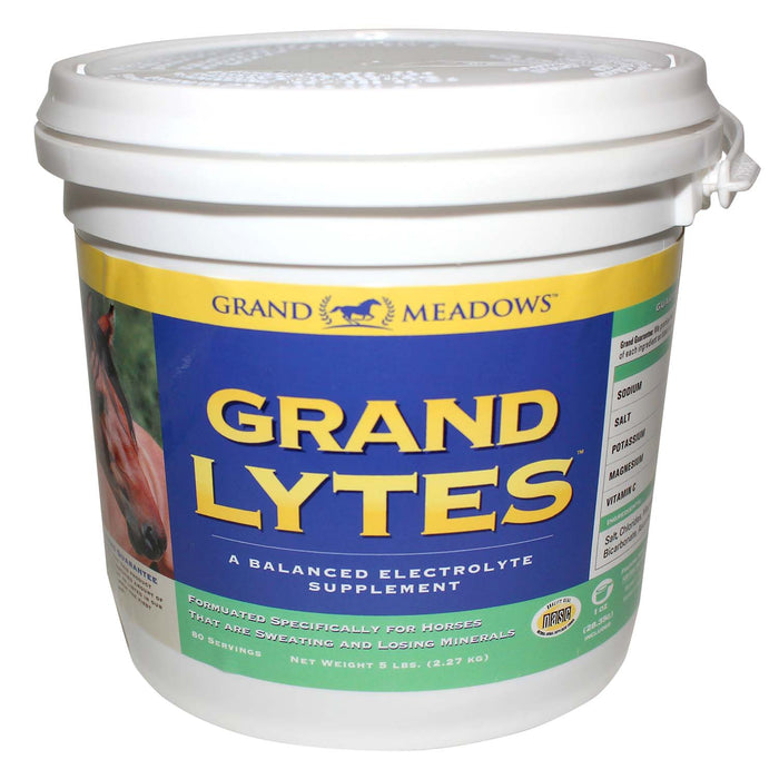 Grand Lytes Electrolyte Supplement for Horses - 2CE2 - 5 lb - 1