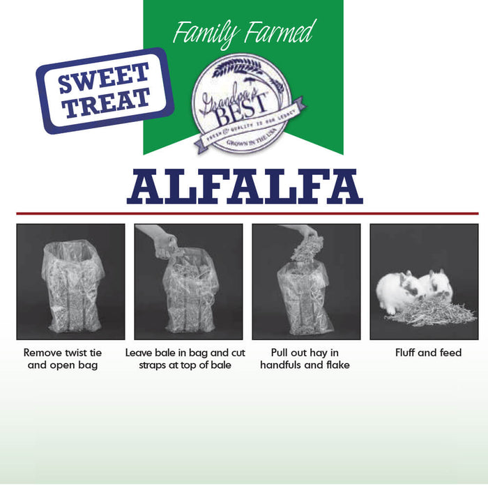 Grandpa's Best Alfalfa Hay Bale - 010BEST-000635 - Green - 10 lbs - Alfalfa Hay - 4