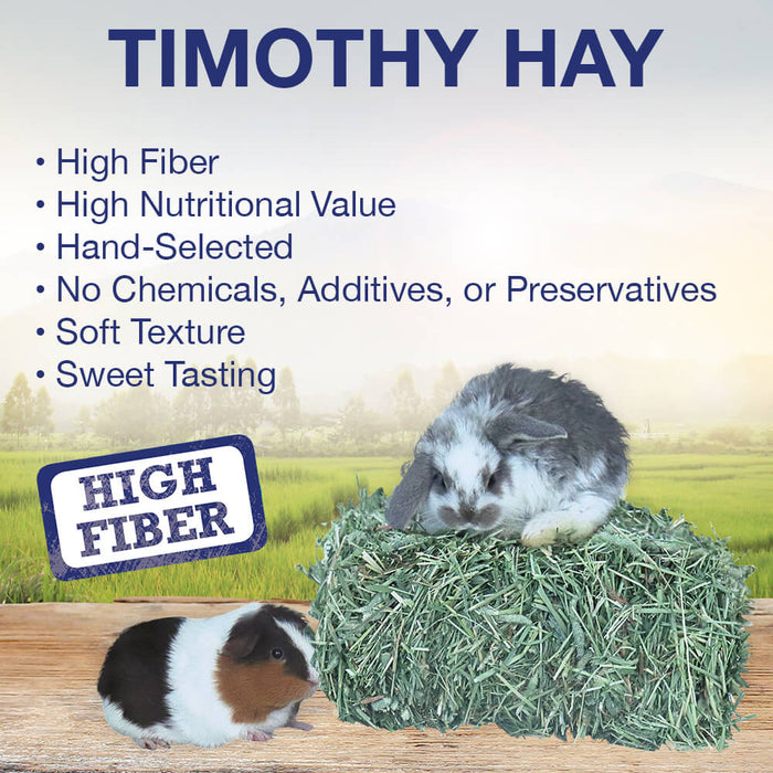 Grandpa’s Best Timothy Hay Loose or Bale – Premium High Fiber Small Pet Hay - 010BEST-06084 - 40 oz - Bale - Timothy - 9