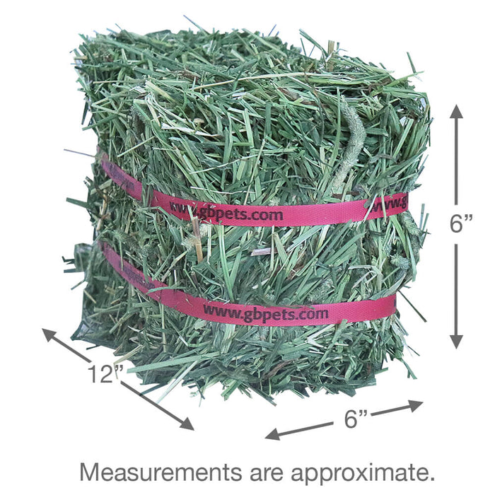 Grandpa’s Best Timothy Hay Loose or Bale – Premium High Fiber Small Pet Hay - 010BEST-06084 - 40 oz - Bale - Timothy - 7