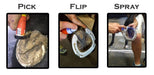 Groom's Hand Thrush Solution for Horses - RJMBG - 2