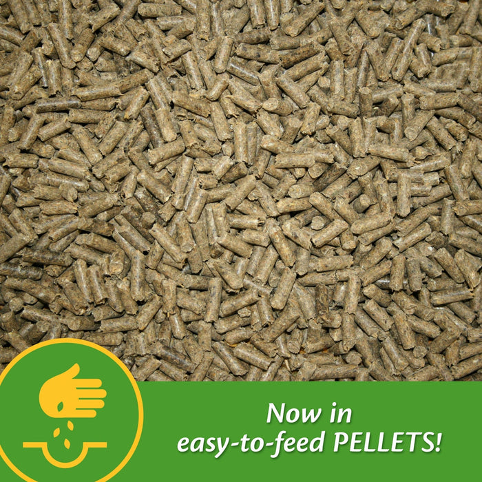 Grow Colt by Farnam - FAKV - 7.5 lbs - 13