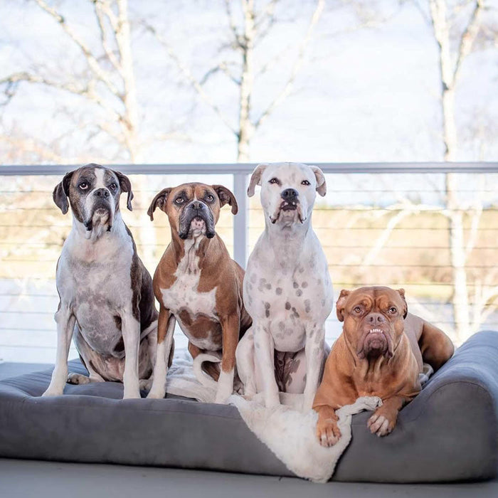 7 Headrest Bed Color Charcoal