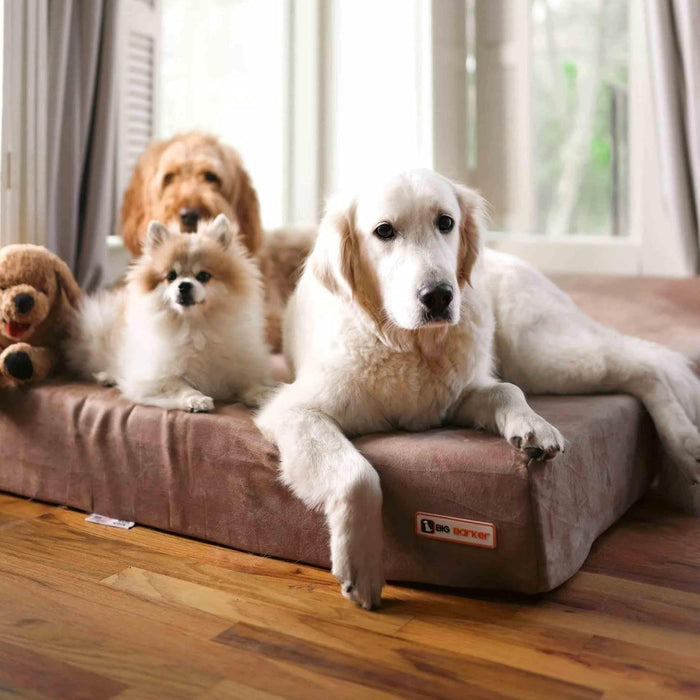 7 Headrest Bed Color Khaki