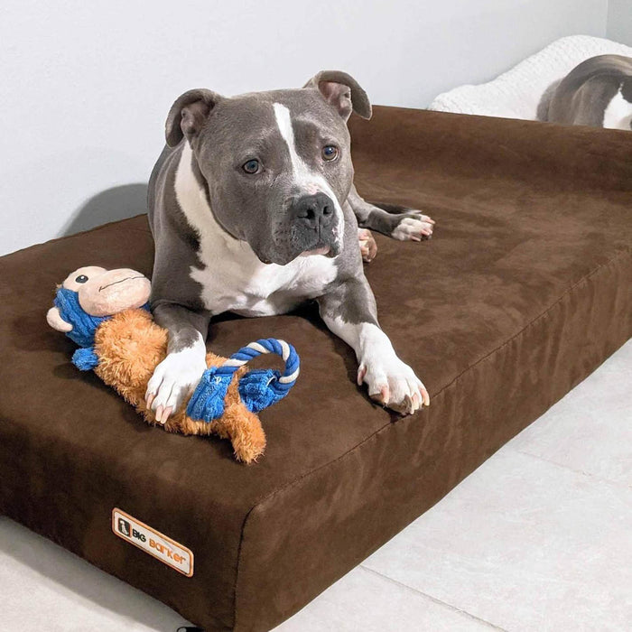 7 Headrest Bed Color Chocolate