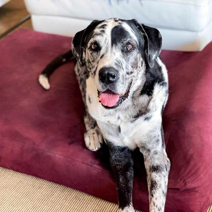 7 Headrest Bed Color Burgandy