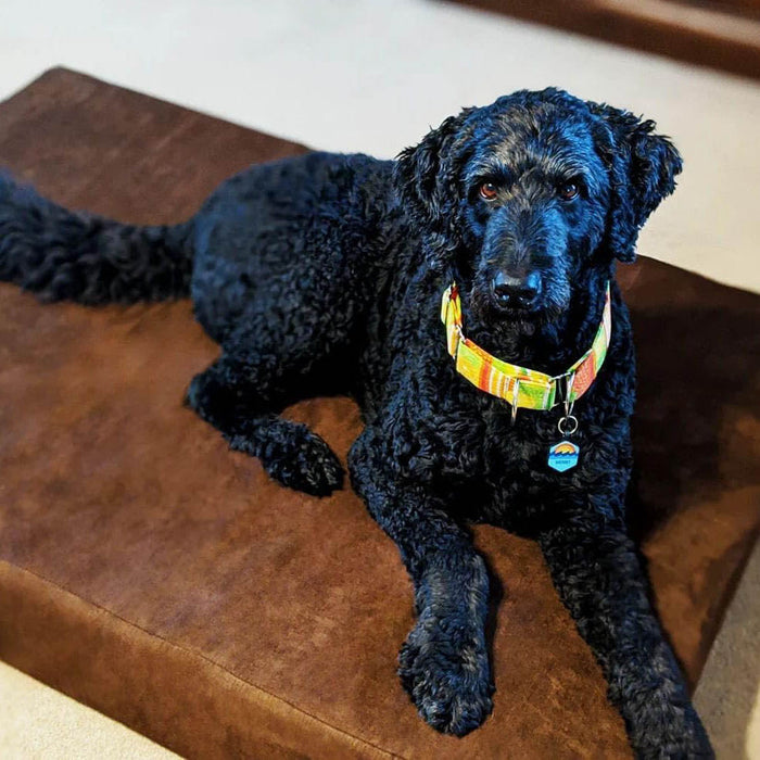 7 Sleek Bed Color Chocolate