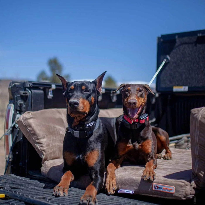 3 SUV Bed Color Khaki