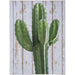 Hanging Cactus Wall Art - JTIA9D - Multi - 1