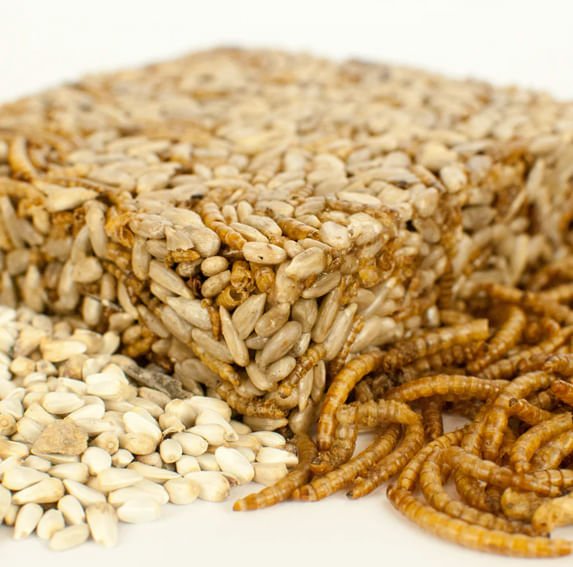 Happy Hen Treat Square - HHT18 - Happy Hen Treat Square, Sunflower & Mealworm, 6.5 oz - 4