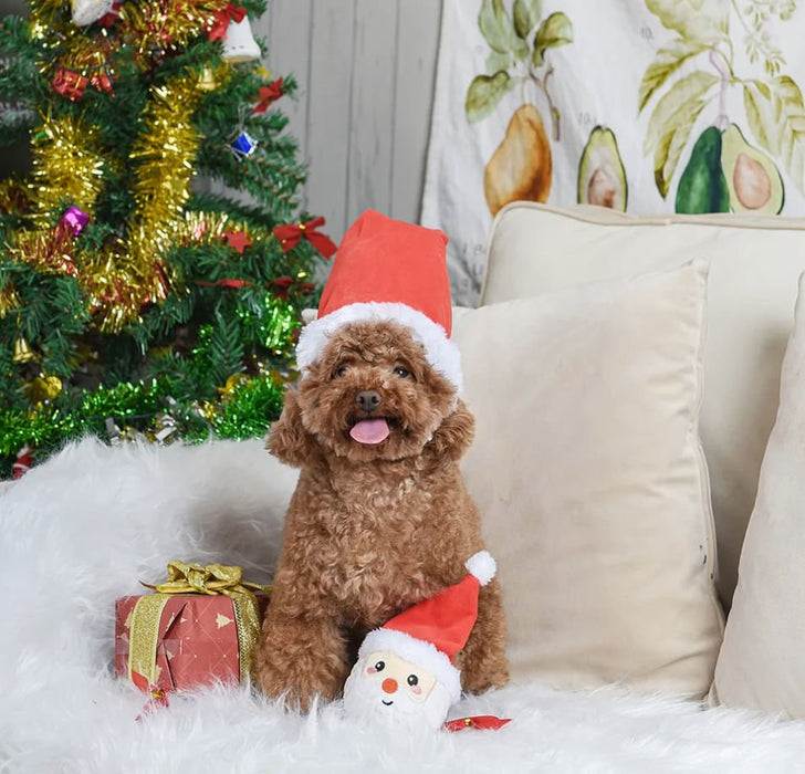 Happy Woofmas Super Ball - Jeffers - Dog Supplies > Dog Toys