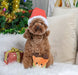 Happy Woofmas Super Ball - Jeffers - Dog Supplies > Dog Toys