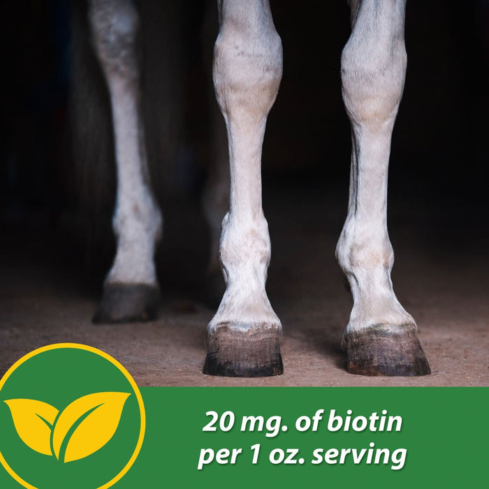 H.B. 15 Hoof Pellets for Horses - FAB4 - 7 lbs - 7