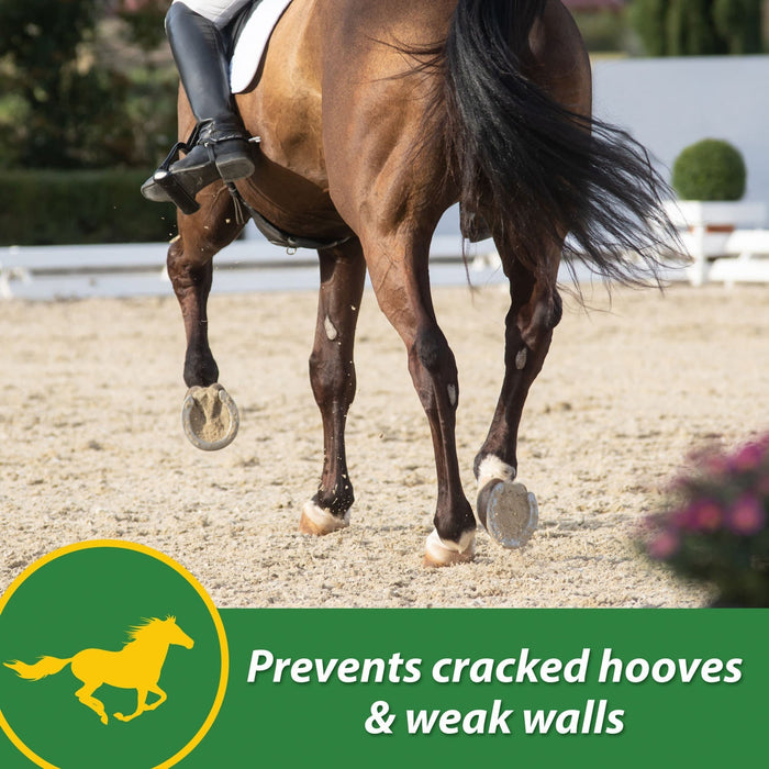 H.B. 15 Hoof Pellets for Horses - FAB4 - 7 lbs - 5
