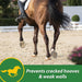 H.B. 15 Hoof Pellets for Horses - FAB4 - 7 lbs - 5