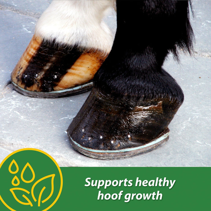 H.B. 15 Hoof Pellets for Horses - FAB4 - 7 lbs - 4