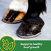 H.B. 15 Hoof Pellets for Horses - FAB4 - 7 lbs - 4