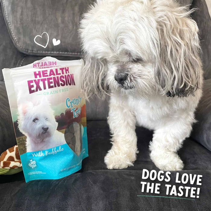 Health Extension Crunchy Heart - Shaped Cookie Dog Treats, Small, 12 oz - HE2AB - 12 oz - Buffalo - 6