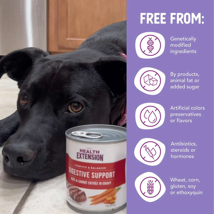Health Extension Digestive Support Canned Food for Dogs, 9 oz - HE21 - 9 oz - Beef & Carrot - 1 ct - 10