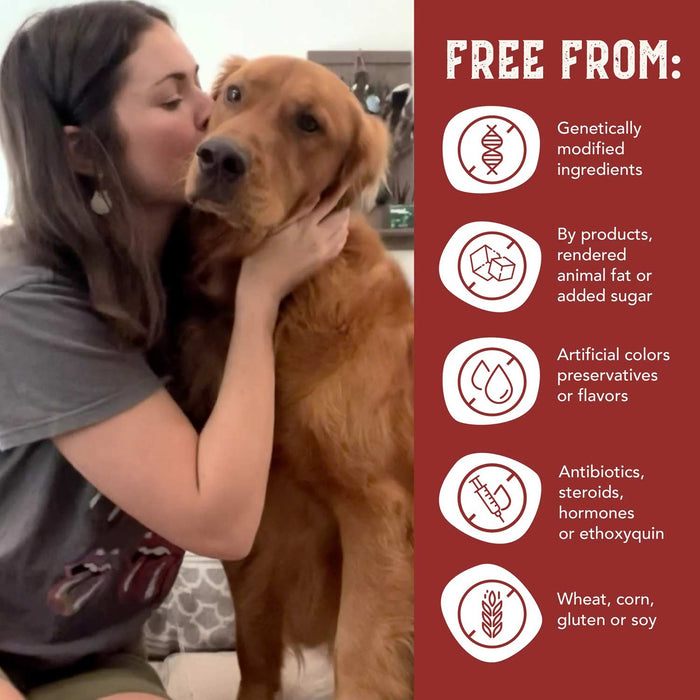 Health Extension Grain - Free Bison & Fish Jerky for Dogs - HE2A7 - 4 oz - Bison & Fish - 6