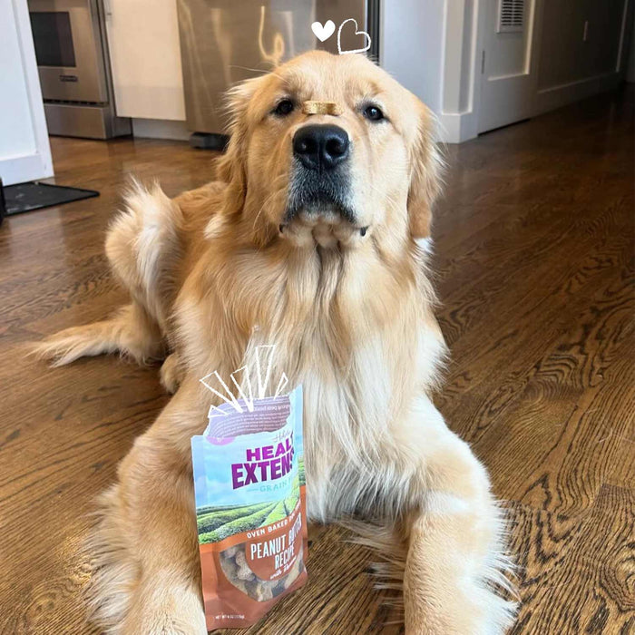 Health Extension Grain - Free Oven Baked Dog Treats, 6 oz - HE2AM - 6 oz - Vegetarian - Peanut Butter & Banana - 16