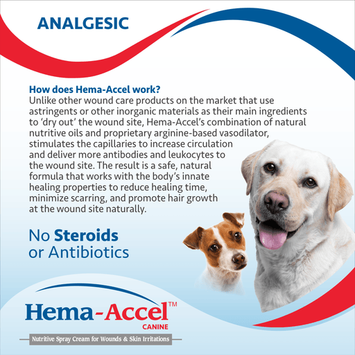 Hema - Accel Equine All Natural Wound Care Spray, 16 oz - VB1L - 16oz - 2
