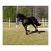 Horseman's Pride Scented Jolly Ball 10" Horse Toy – Durable, Chew - Resistant Equine Enrichment Ball for Outdoor Fun - H7WD - Blue (Wild Berry) - 6