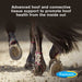 Horseshoer's Secret Hoof & Connective Tissue Supplement - FAHH - 3.75 lbs - 3