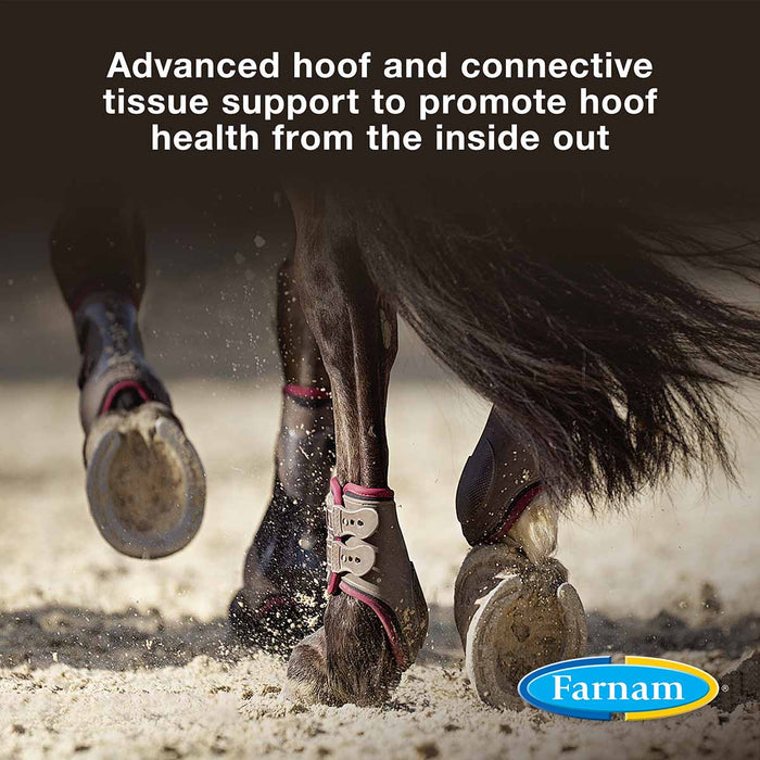 Horseshoer's Secret Hoof & Connective Tissue Supplement - FAHI - 7.5 lbs - 14