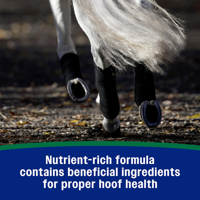 Horseshoer's Secret Pelleted Hoof Supplement - FAFD - 11 lbs - 6