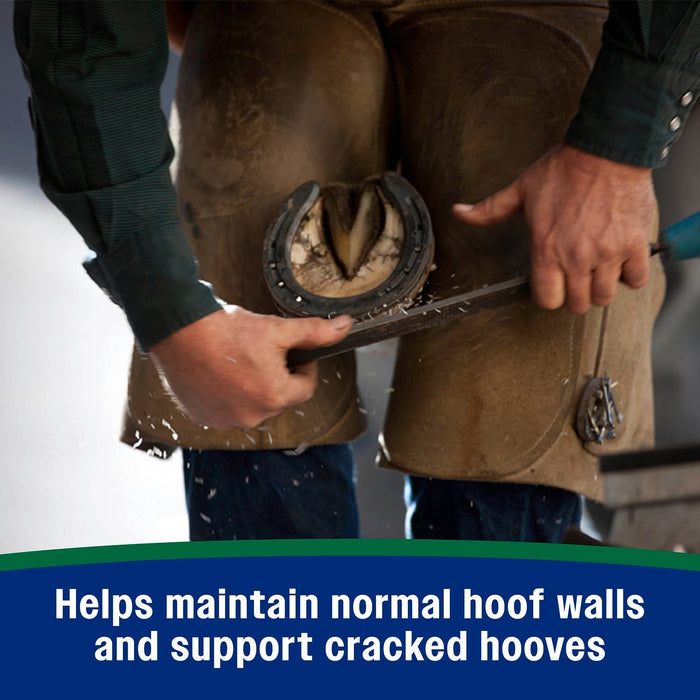 Horseshoer's Secret Pelleted Hoof Supplement - FAFE - 22 lbs - 13
