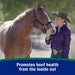Horseshoer's Secret Pelleted Hoof Supplement - FAFE - 22 lbs - 12
