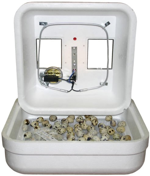 Hova - Bator Low Wattage Still - Air Incubator - Jeffers - Poultry Supplies > Poultry Supplies