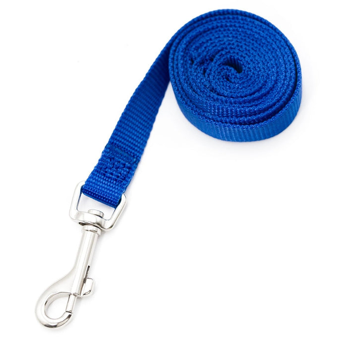 Jeffers 1 - Ply Web Nylon Dog Leashes - SSGE - 5/8"W x 4'L - Royal Blue - 2