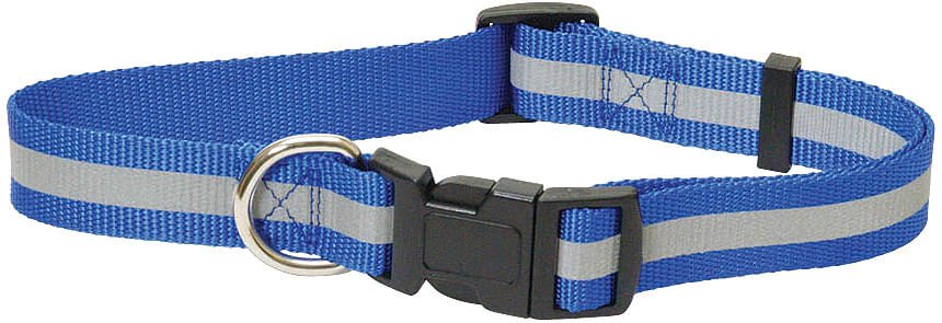 Jeffers Reflective Safety Stripe Adjustable Nylon Dog Collar – Glow - in - the - Dark for Night Visibility - IDEB - 1"W x 16" - 26"L - Blue - 1