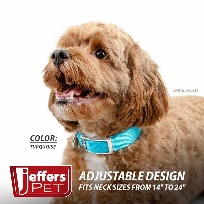 Jeffers Adjustable Nylon Dog Collar, 1"W x 14" - 24"L - SSGZ - Turquoise - 3